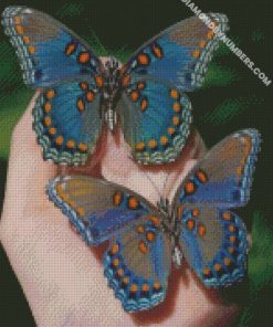pretty-butterflies-diamond-paintings