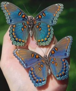 pretty-butterflies-paint-by-numbers
