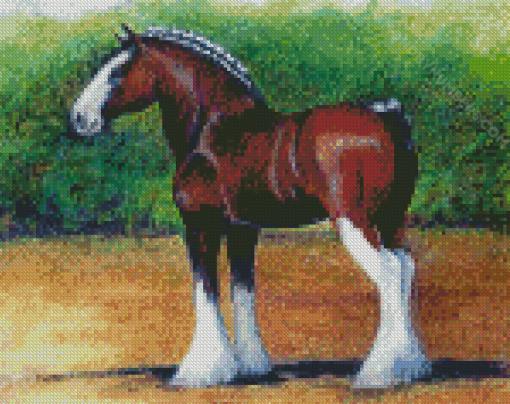 Brown Clydesdale Horse diamond paint